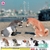 Đồ chơi BỘ SƯU TẬP BỐC TRỨNG MÔ HÌNH NHÂN VẬT 200YEN OJIKISAN 4589469821921 AUG19