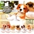 Đồ chơi BỐC TRỨNG COFFEE CUP PUPPY