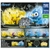 ĐỒ CHƠI gacha gashapon POCKET MONSTER ELECT & WATER May22