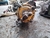 Trục Trung Tâm PC300-6