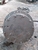 Di Chuyển Bánh Xích Doosan 120/130
