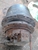 Di Chuyển Bánh Xích Doosan 300