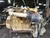 Động Cơ CAT3116