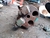 Trục Trung Tâm SK120-2/3