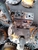 Motor Quay Toa PC600-6