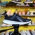 Giày Outlet Under Armour thấp cổ vải đen UTVD001