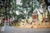 TOUR HÀ GIANG -  LAI CHÂU - ĐIỆN BIÊN - MỘC CHÂU - MAI CHÂU