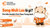 Song Nhất Lưu là gì? Tìm hiểu Double First Class Trung Quốc